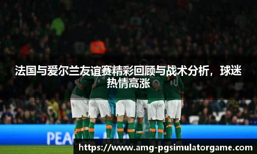 法国与爱尔兰友谊赛精彩回顾与战术分析,球迷热情高涨