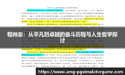 程帅澎:从平凡到卓越的奋斗历程与人生哲学探讨